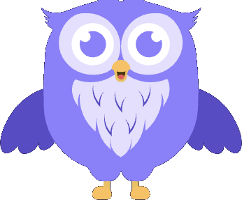 Vibo owl